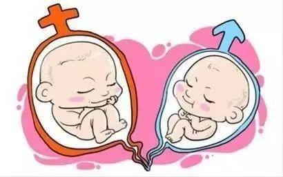 关于 供卵代怀包男孩